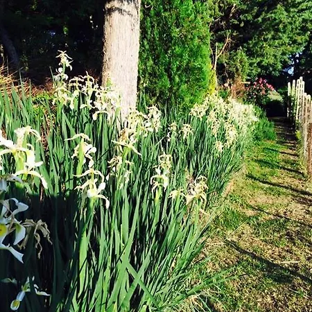 Domus Cleofe Bed and breakfast