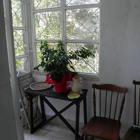 Domus Cleofe Bed & Breakfast